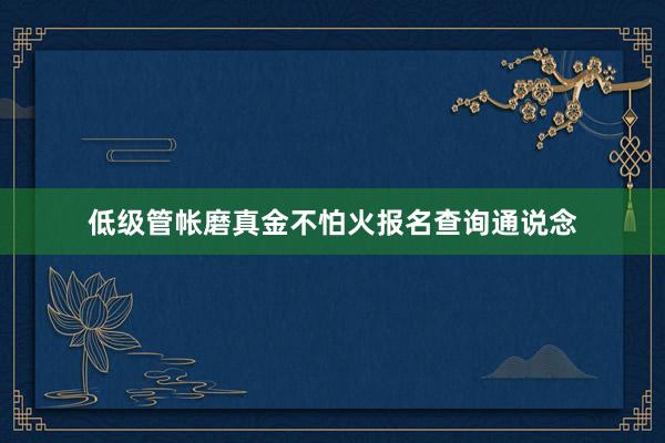 低级管帐磨真金不怕火报名查询通说念