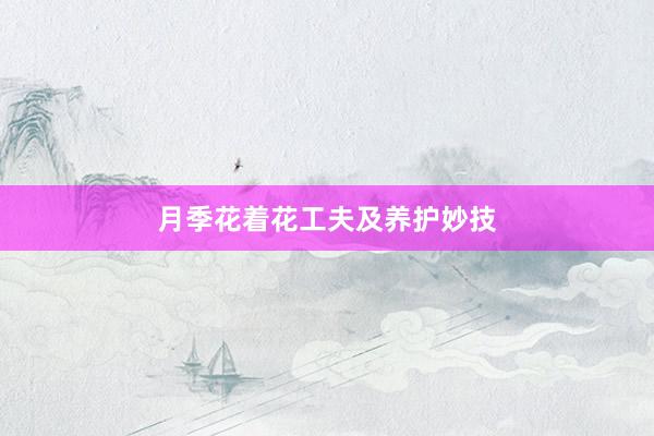月季花着花工夫及养护妙技